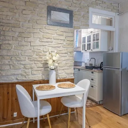Appartement Cosy Dans Les Rues Pietonnes Grenoble Exterior foto