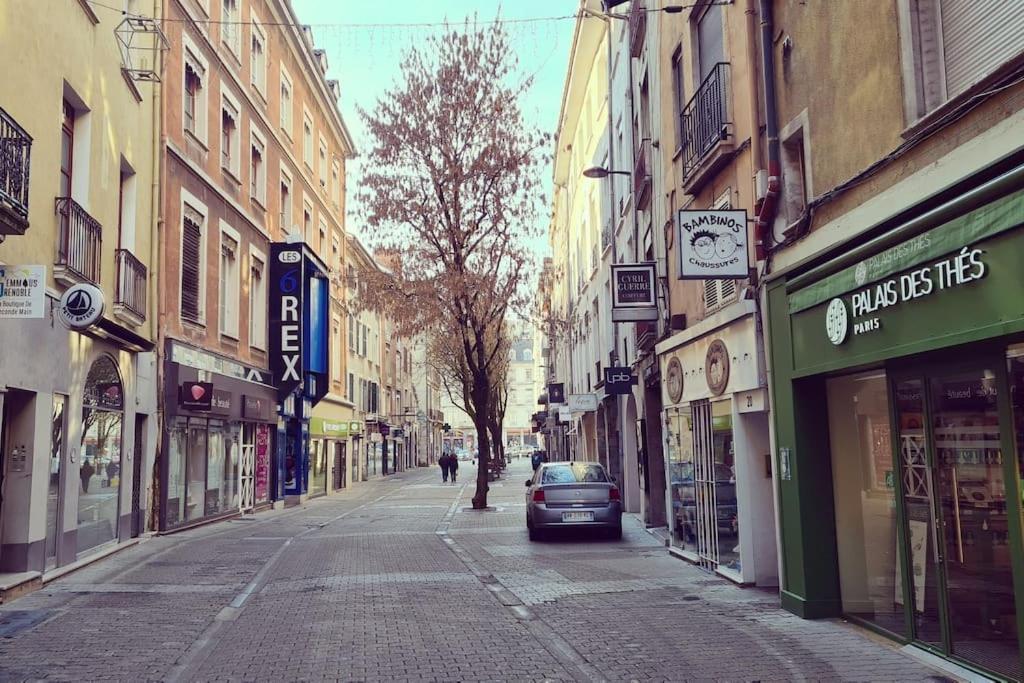 Cosy Dans Les Rues Pietonnes Apartment Grenoble